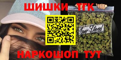 МДПВ Обь